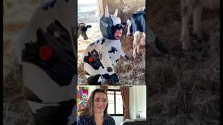 moo | part 60 #viral #fails #funny #humor #comedy