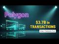 Is Crypto Matic Polygon Dead? Stripe, Starbucks, and the $3.7B Adoption Secret
