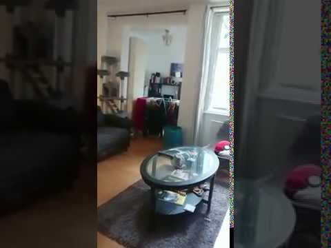 Video 1: Living room 