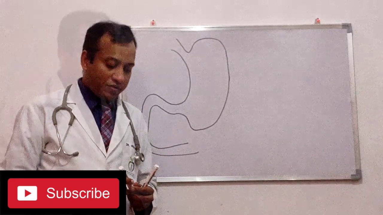 Endoscopy treatment of Obesity and Diabetes YouTube