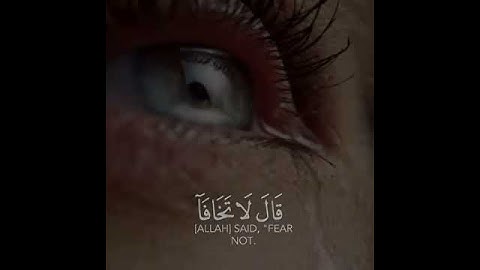 قَالَ لَا تَخَافَا ۖ إِنَّنِي مَعَكُمَا أَسْمَعُ وَأَرَىٰ|سورة طه الاية ٤٦