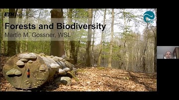 Martin Gossner: Forests and Biodiversity