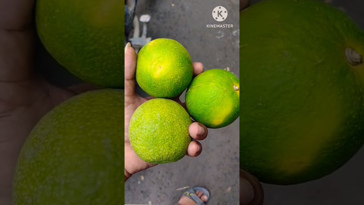 How to cut a mosambi fruit//Enjoy beutiful nature life 🍊🥝