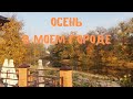 Осень в моем городе. Олевская осень.