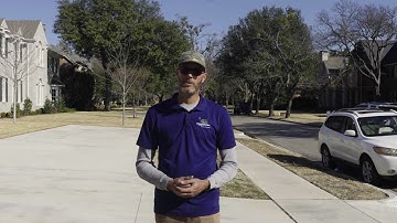 How to Prevent Root Damage During Construction 🚧 Tips from a Certified Arborist