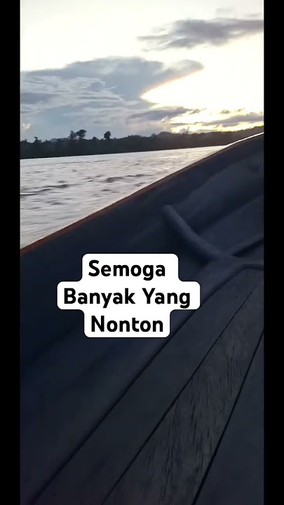 Jalur Mamberamo Raya #beritaterkini #papua #travel #mamberamo #nature