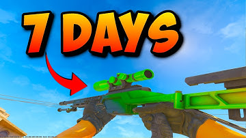 I Tried Mastering The Scout In Just 7 Days!