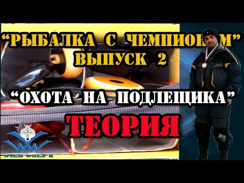 теория зимней рыбалки