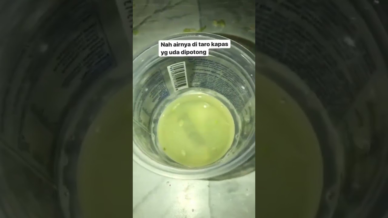 Masker Alami Timun Menghilangkan Mata Panda