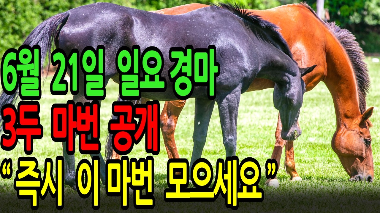 6월 21일 일요일 경마~ 배당 출렁이기 전에 ‘이 마번’부터 조용히 모아두세요ㅣ승전경마 전문가의 이변 포착 l 경마 l 경마예상 l 코리아레이스 l 검빛경마 ㅣ경마정보