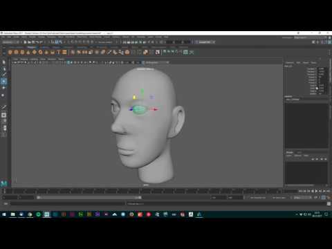 Head Modeling -