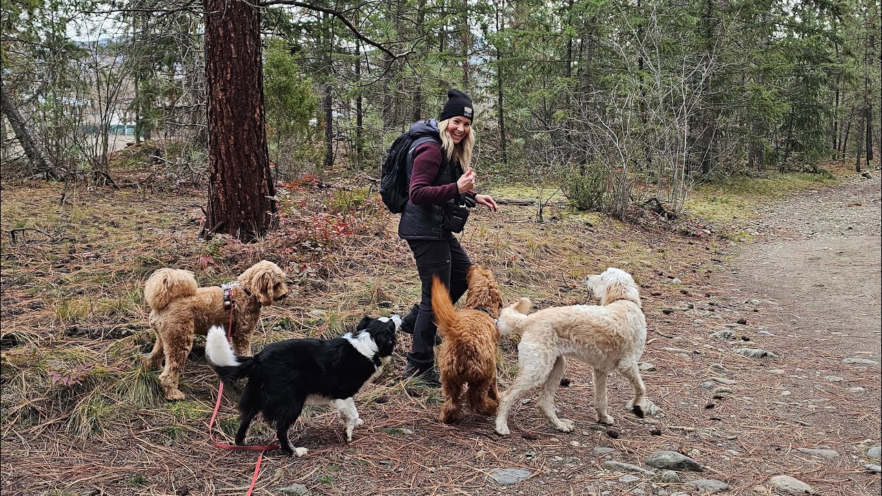 I’m getting Older Too 