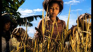 Exploring Sumatra in the 1920s | Bukittinggi, Plantations, and Everyday Life