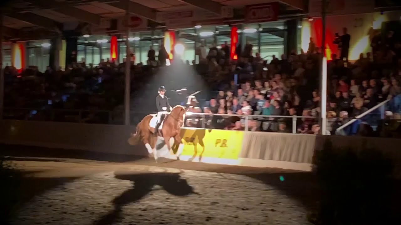 Damaschino und Hannah Laser - 30. PB-Schau 2020 in Verden.