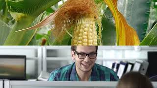 Agro-Region corporate brand presentation