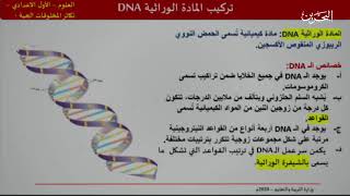 تكاثر المخلوقات الحية - العلوم - الأول الإعدادي - القسم 1