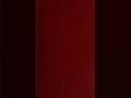 An excursion in France, and other parts of the continent of Europe; from the cessation of hostili...