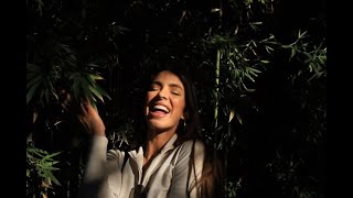 The Illusion - 3 Of ?