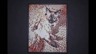 Push Pin Art ----thepinart.com