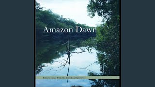 Amazon Dawn