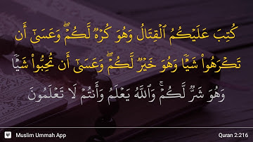 سوره بقره آیه 216