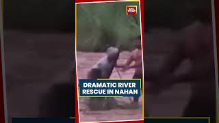 Viral Rescue Video: IAF, NDRF Rescue Two Stranded In Surging Ran River In Himachal’s Nahan #shorts