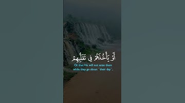 اجمل تلاوات القران الكريم ❤ #المصحف #الرحمن #القران #حالات_واتس #اكسبلور #لايك #راحة_نفسية