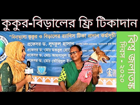 ভিডিও: বিড়ালের থিমাসের টিউমার