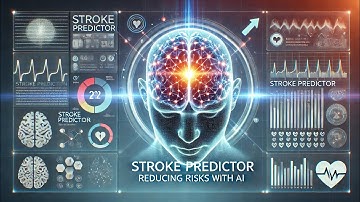 Stroke predictor logbook video