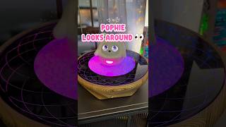 Pophie Looks Around
