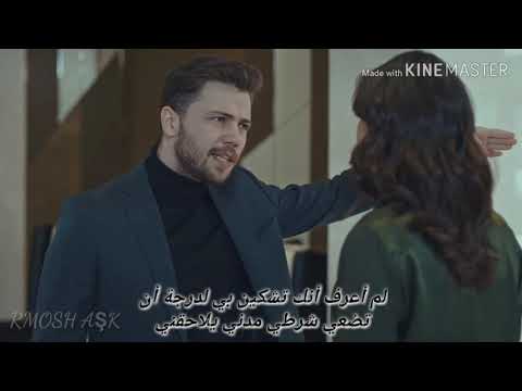 يافوز وداريا اغنية بطلة العالم في النكد تامر حسني   