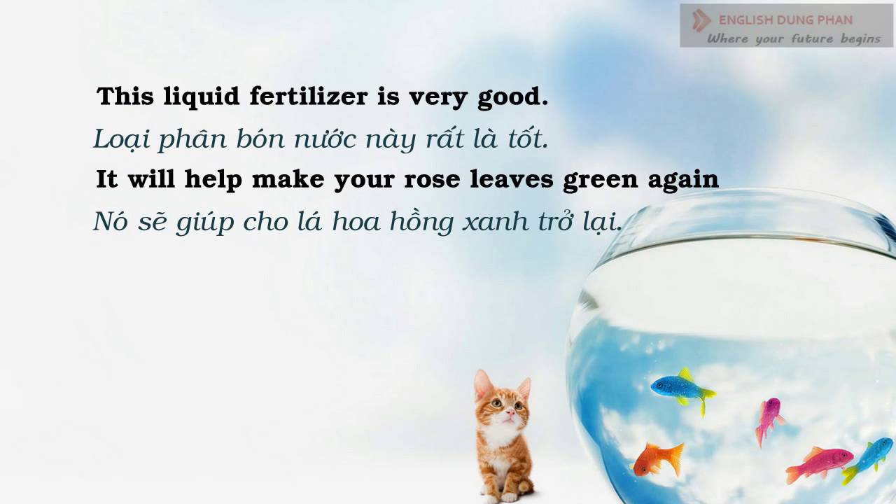 Basic English English lesson 03 Growing Roses - YouTube