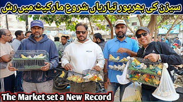 Lalukhet Sunday Birds Market 2025 Latest Update | lalukhet birds market 2025 latest update@SYEDBIRDS