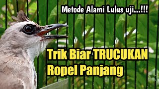 Powerful Trucukan Method To Make The Rope Long And Gacorproven