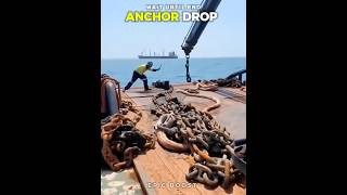 Ships Dropping Anchor at Sea 🚢🌊 Powerful Ocean Moments