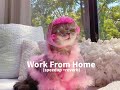 Fifth Harmony Work From Home Speedup Reverb Fifth Harmony Work From Home Speedup Reverb