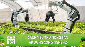 Cách tiêu thụ nông sản áp dụng công nghệ 4.0 | VTC16