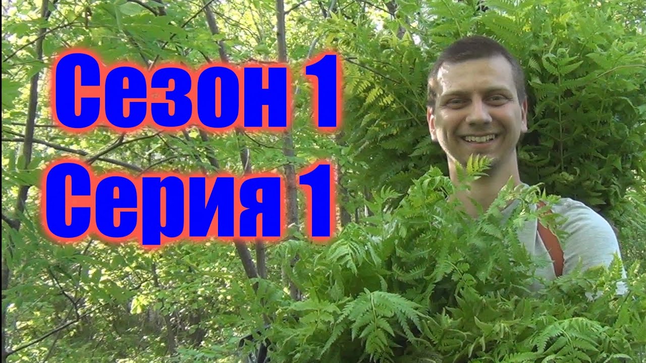 Дальневосточный Гектар 1.01 [Выбор земельного участка] - YouTube