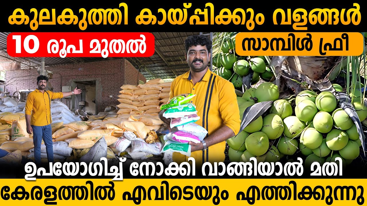 ഇനി ചെടികൾ കുലകുത്തി കായ്ക്കും | ഫ്രീ സാമ്പിൾ | Kerala's Number 1 Organic Fertilizers