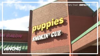 Charlotte pet store shut down after death of 11 puppies, sale of sick dogs