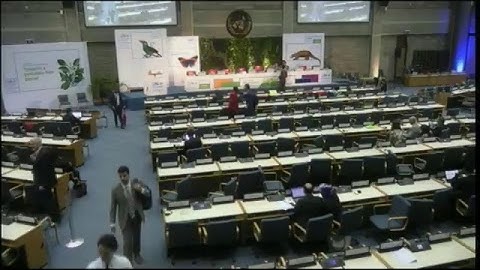 UNEA-3: High Level Segment Opening Ceremony - Floor Language