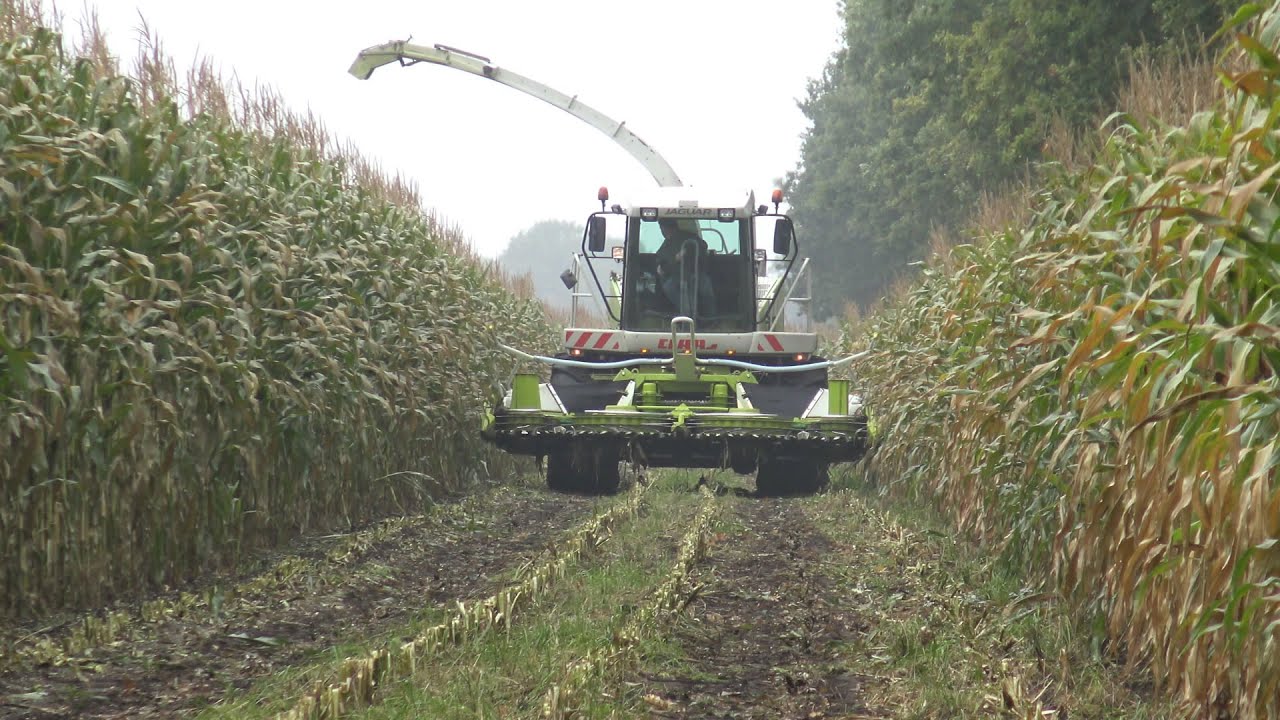 Loonbedrijf H van Haarst met Claas Jaguar 850 Speedstar in de mais 2015