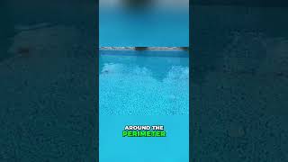 Dog "Helps" Clean Pool! Effortless iGarden K60 Robot Cleaner Test #shorts