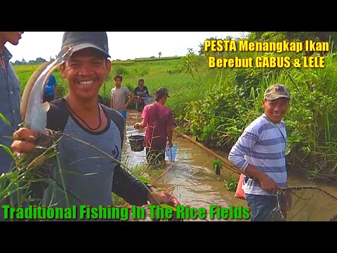 Video: Nakakahuli Ng Tench