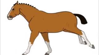 Horse  galloping animation