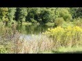 Pond Management - Shoreline Vegetation