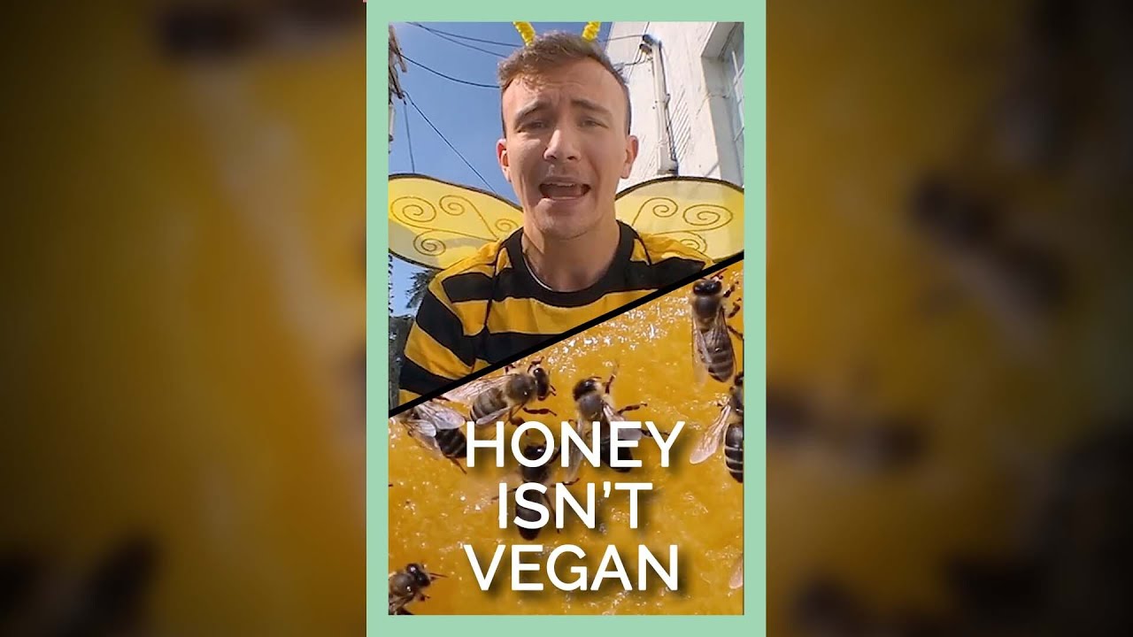 Honey Isn’t Vegan 
