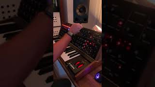 Live jam sequential pro 3 deep house music Wealth