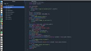Linux Socket programming
