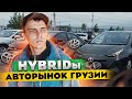 Руставский авторынок Autopapa! Большой обзор гибридов! Авто из Грузии Цены Caucasus. @AutoSculptor